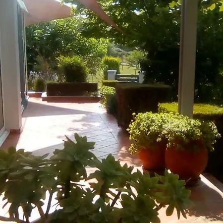 Fantastic House With Garden
